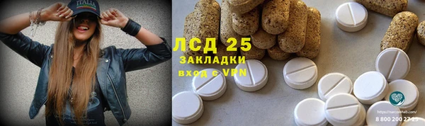 молекула духа Богородск