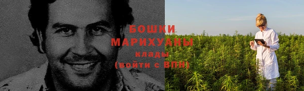 молекула духа Богородск