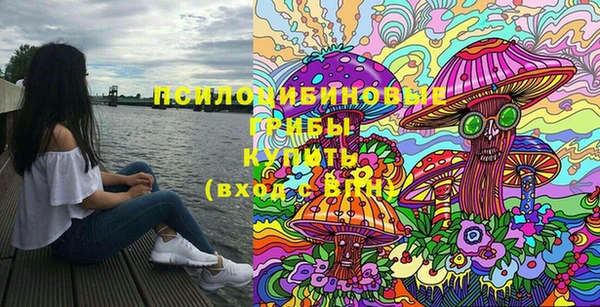 2c-b Богданович