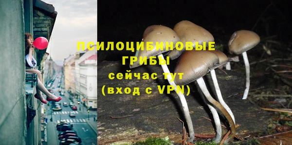 mix Беломорск