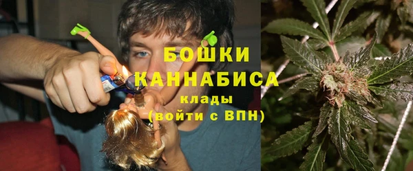 молекула духа Богородск